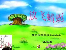 放飞蜻蜓课件四