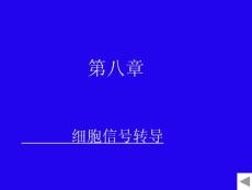 第八章_细胞信号转导(改).ppt