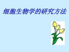 细胞生物学课件--细胞生物学的研究方法