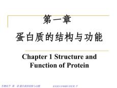 01生物化学第一章蛋白质的结构与功能