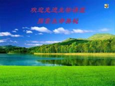 高中生物 《生态系统的能量流动》课件 新人教版必修3