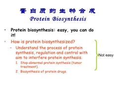 蛋白质的生物合成