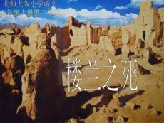 北师大版第九册《楼兰之死》PPT课件2