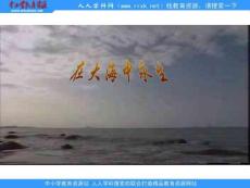 苏教版五年级上册《在大海中永生》PPT课件