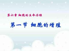 生物：6.1《细胞的增殖》ppt（新人教版必修1）