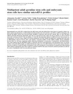 【miRNA 研究】Multipotent adult germline stem cells and embryonic stem cells have similar microRNA profiles