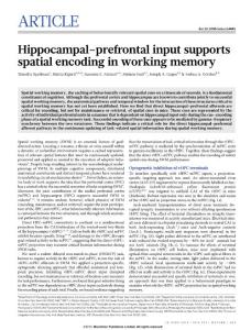 Hippocampal–prefrontal input supports