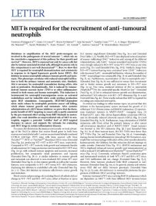 MET is required for the recruitment of anti-tumoural neutrophils