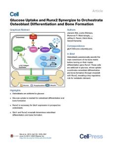 Glucose Uptake and Runx2 Synergize to Orchestrate Osteoblast Differentiation and Bone Formation