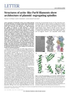Structures of actin-like ParM filaments show architecture of plasmid-segregating spindles