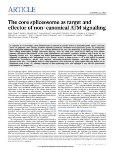 The core spliceosome as target and effector of non-canonical ATM signalling