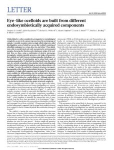 Eye-like ocelloids are built from different endosymbiotically acquired components