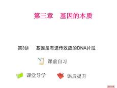 高三生物复习课件·必修2《遗传与进化》第三章  基因的本质  第3讲  基因是有遗传效应的DNA片段