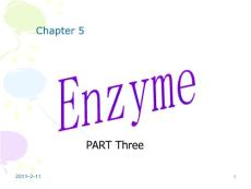生物化学理论课课件/5enzymethree2009
