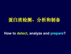 生物化学理论课课件/06蛋白质分离纯化2009