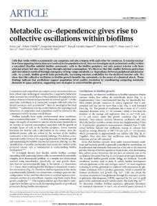 Metabolic co-dependence gives rise to collective oscillations within biofilms