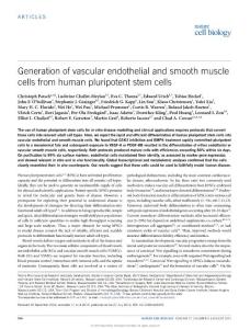 ncb3205_Generation of vascular endothelial and smooth muscle cells from human pluripotent stem cells