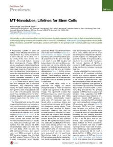 MT-Nanotubes Lifelines for Stem Cells