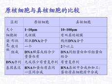 细胞信号转导