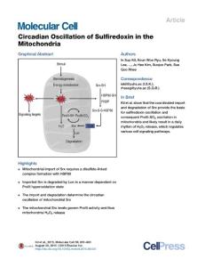 Circadian Oscillation of Sulfiredoxin in the Mitochondria