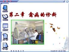 精品课程《禽病学》PPT  第二章 禽病的诊断