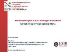 Novel rules for microRNA