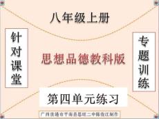 思想品德教科版八年级上册第四单元专题精讲+中考真题
