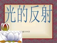 光的反射  课件