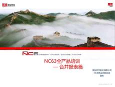 NC63全产品培训合并报表