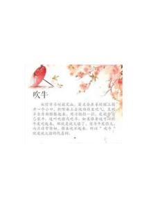 中国传统文化民间俗语含义是什么吹牛 不三不四 犬子 智囊等如何解释  (4)