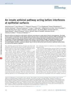 ni.3319-An innate antiviral pathway acting before interferons at epithelial surfaces