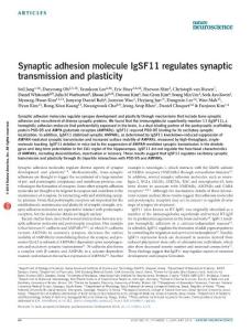 nn.4176-Synaptic adhesion molecule IgSF11 regulates synaptic transmission and plasticity