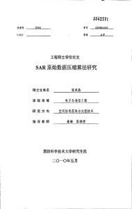 SAR原始数据压缩算法研究