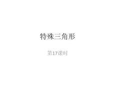 第17课时  特殊三角形