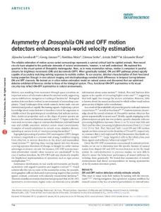 nn.4262-Asymmetry of Drosophila ON and OFF motion detectors enhances real-world velocity estimation