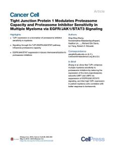 Cancer Cell-2016-Tight Junction Protein 1 Modulates Proteasome Capacity and Proteasome Inhibitor Sensitivity in Multiple Myeloma via EGFR-JAK1-STAT3 Signaling