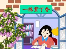 人教版小学二年级语文课件：一株紫丁香