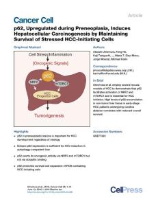 Cancer Cell-2016-p62, Upregulated during Preneoplasia, Induces Hepatocellular Carcinogenesis by Maintaining Survival of Stressed HCC-Initiating Cells