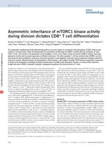 ni.3438-Asymmetric inheritance of mTORC1 kinase activity during division dictates CD8+ T cell differentiation