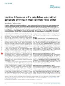nn.4215-Laminar differences in the orientation selectivity of geniculate afferents in mouse primary visual cortex