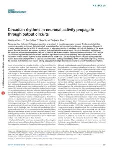 nn.4263-Circadian rhythms in neuronal activity propagate through output circuits