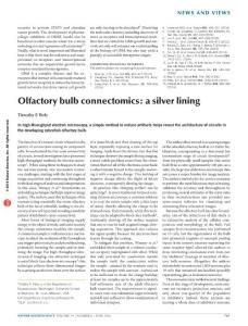 nn.4312-Olfactory bulb connectomics- a silver lining