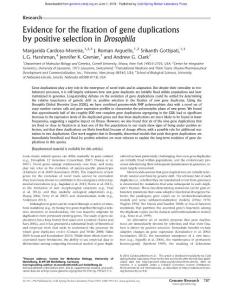 Genome Res.-2016-Cardoso-Moreira-787-98-Evidence for the fixation of gene duplications by positive selection in Drosophila