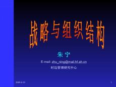 战略与组织结构