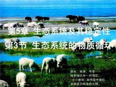 高中生物常规教学精品课件高二生物：生态系统的物质循环