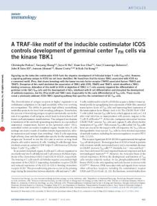 ni.3463-A TRAF-like motif of the inducible costimulator ICOS controls development of germinal center TFH cells via the kinase TBK1