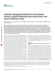 nn.4303-Spatially segregated feedforward and feedback neurons support differential odor processing in the lateral entorhinal cortex