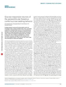 nn.4331-Glucose-responsive neurons of the paraventricular thalamus control sucrose-seeking behavior