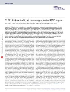 nsmb.3251-53BP1 fosters fidelity of homology-directed DNA repair