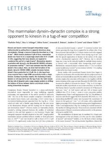 ncb3393-The mammalian dynein–dynactin complex is a strong opponent to kinesin in a tug-of-war competition